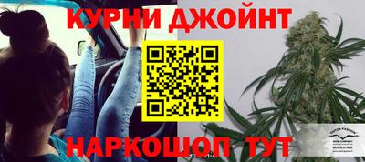 сатива Моздок
