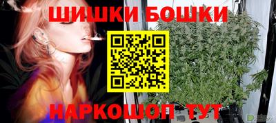 сатива Моздок