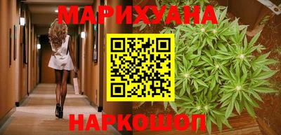 сатива Моздок